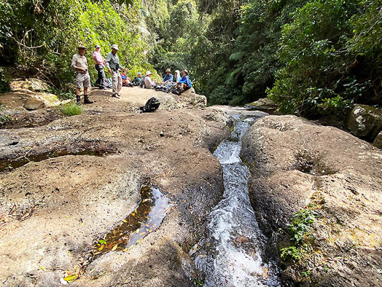 Picnic Rock - Toolona Circuit, Green Mountains
